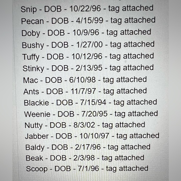 40 new Beanie Babies (36 with tags att, 3 with tags incl, 1 miss tag) - Picture 8 of 10